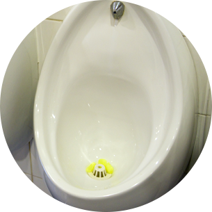 ����Ż���� �߾Ϲ���